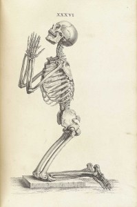 6069052865_62c016f679_z