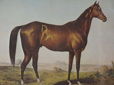 “Well, I hear you went up to&nbsp;Saratoga”